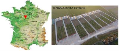 Management and Characterization of Abiotic Stress via PhénoField®, a High-Throughput Field Phenotyping Platform